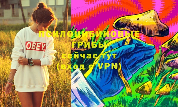 кристаллы Дмитровск