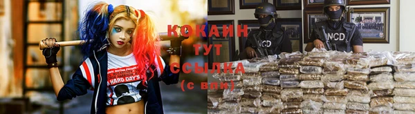 прущий лед Дмитриев