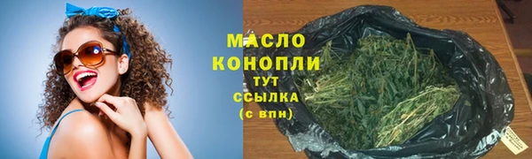 СК Дмитров