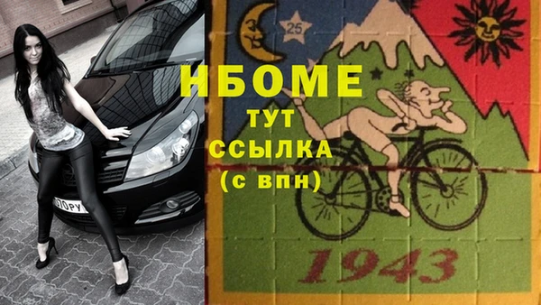 прущий лед Дмитриев