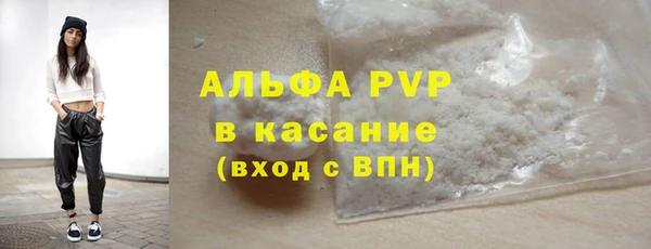 прущий лед Дмитриев