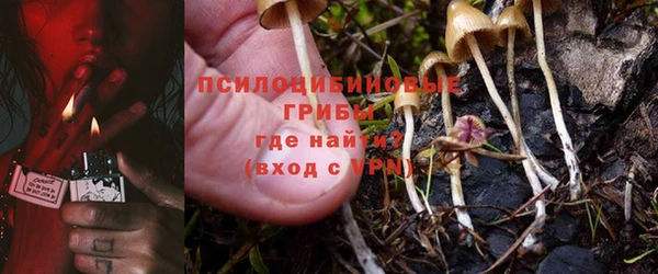 СК Дмитров