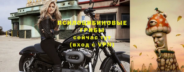 прущий лед Дмитриев
