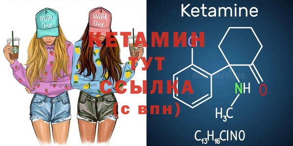 СК Дмитров