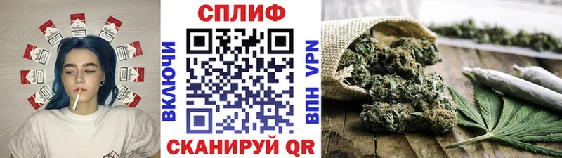 как найти закладки  Жердевка  гидра зеркало  Каннабис тримм 